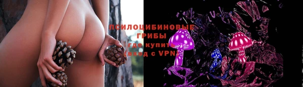 2c-b Балабаново