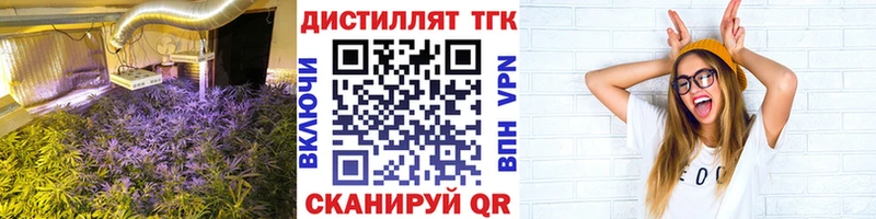 ссылка на мегу рабочий сайт Краснокаменск Дистиллят ТГК THC oil